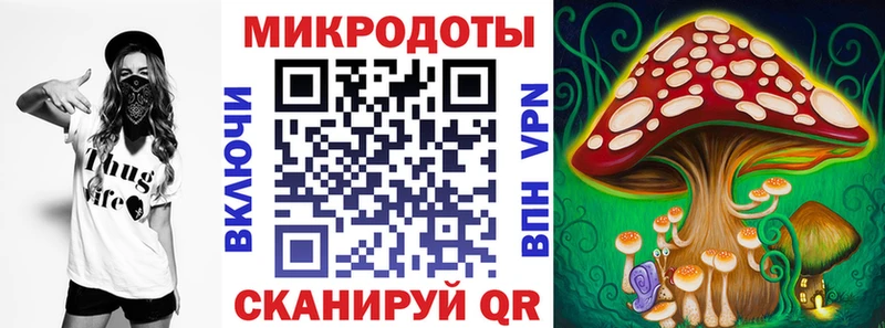 Галлюциногенные грибы Cubensis  Купить закладки  Гудермес 