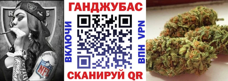 Купить  Гудермес  Бошки Шишки SATIVA & INDICA 